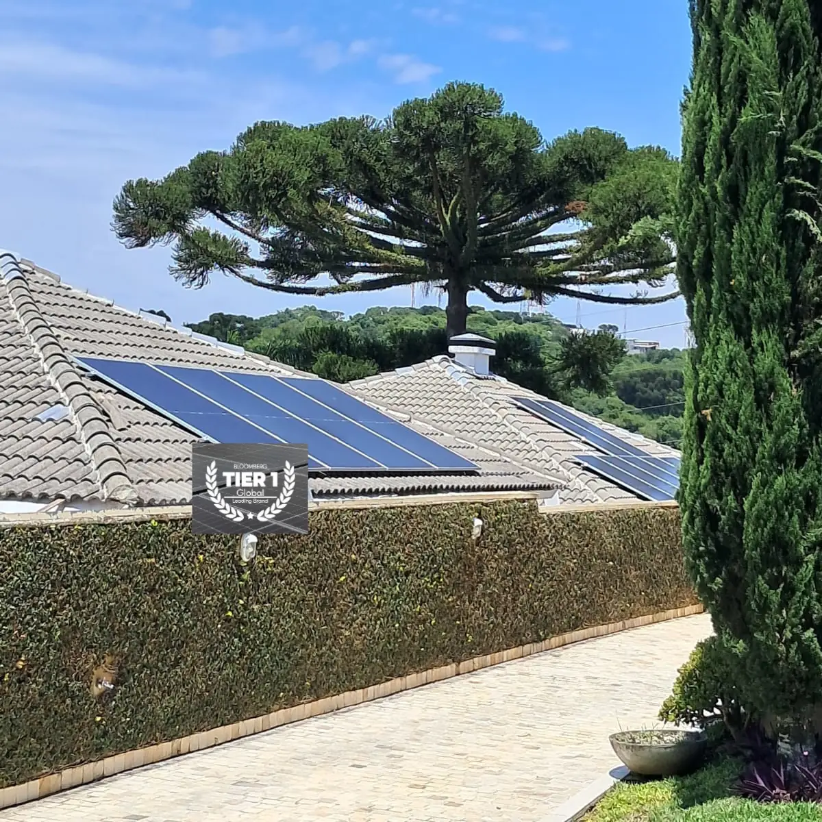 Residência em Curitiba com painéis solares, com uma araucária ao fundo